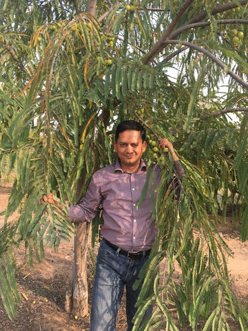 Sandeep standing under an amla tree in India.