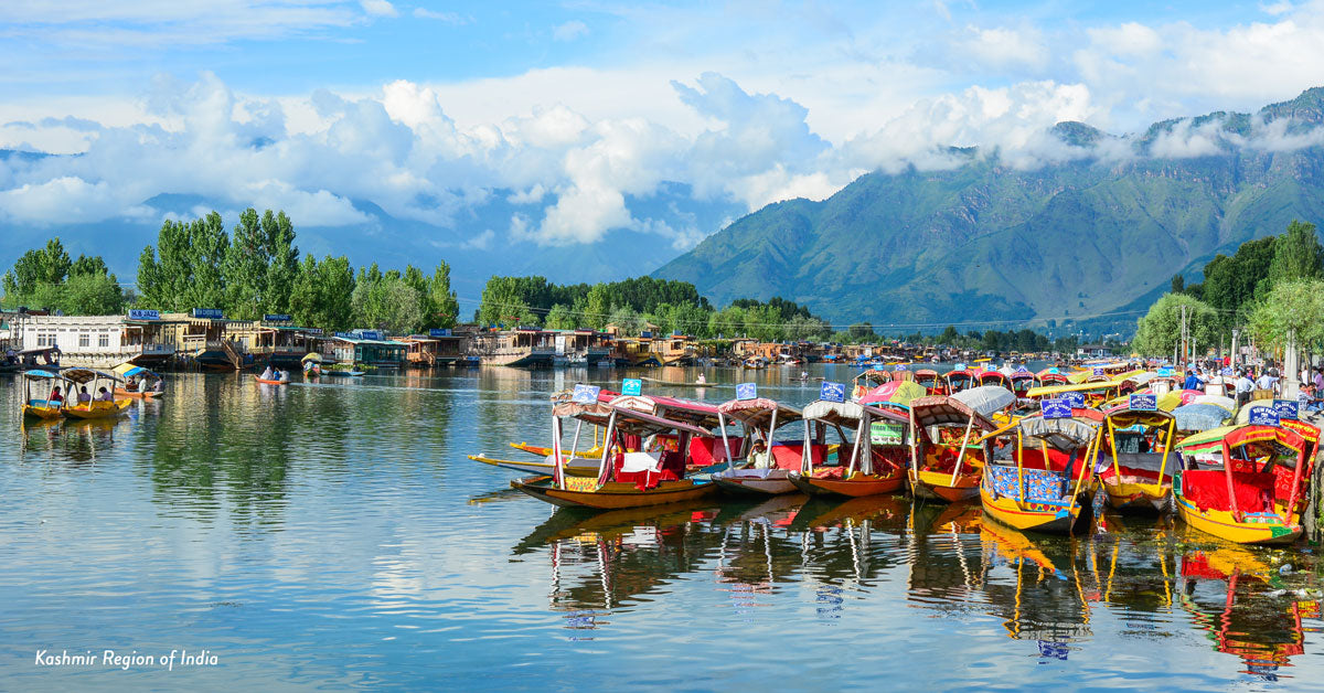 The kashmir region of India, home of the world's most precious organic saffron.