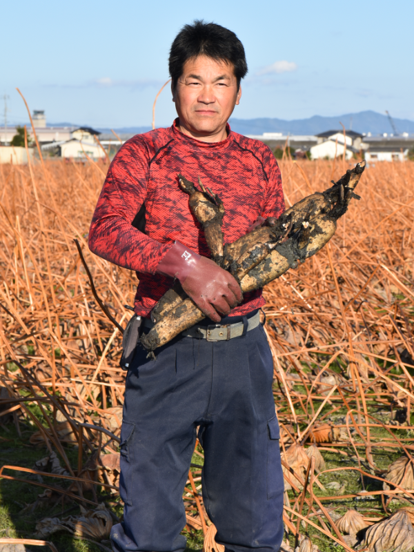 岩国れんこん生産者の会鈴木政次会長