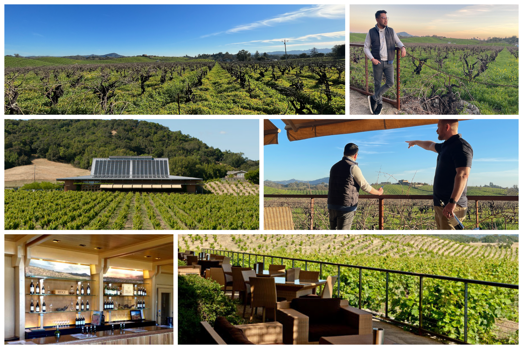 Ridge Monte Bello in Wine Spectator's The Beauty of Cabernet - Ridge  Vineyards