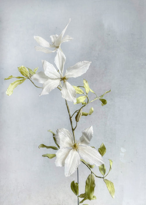 Clematis by Maggie Austin Fine Art Clay Sculpture