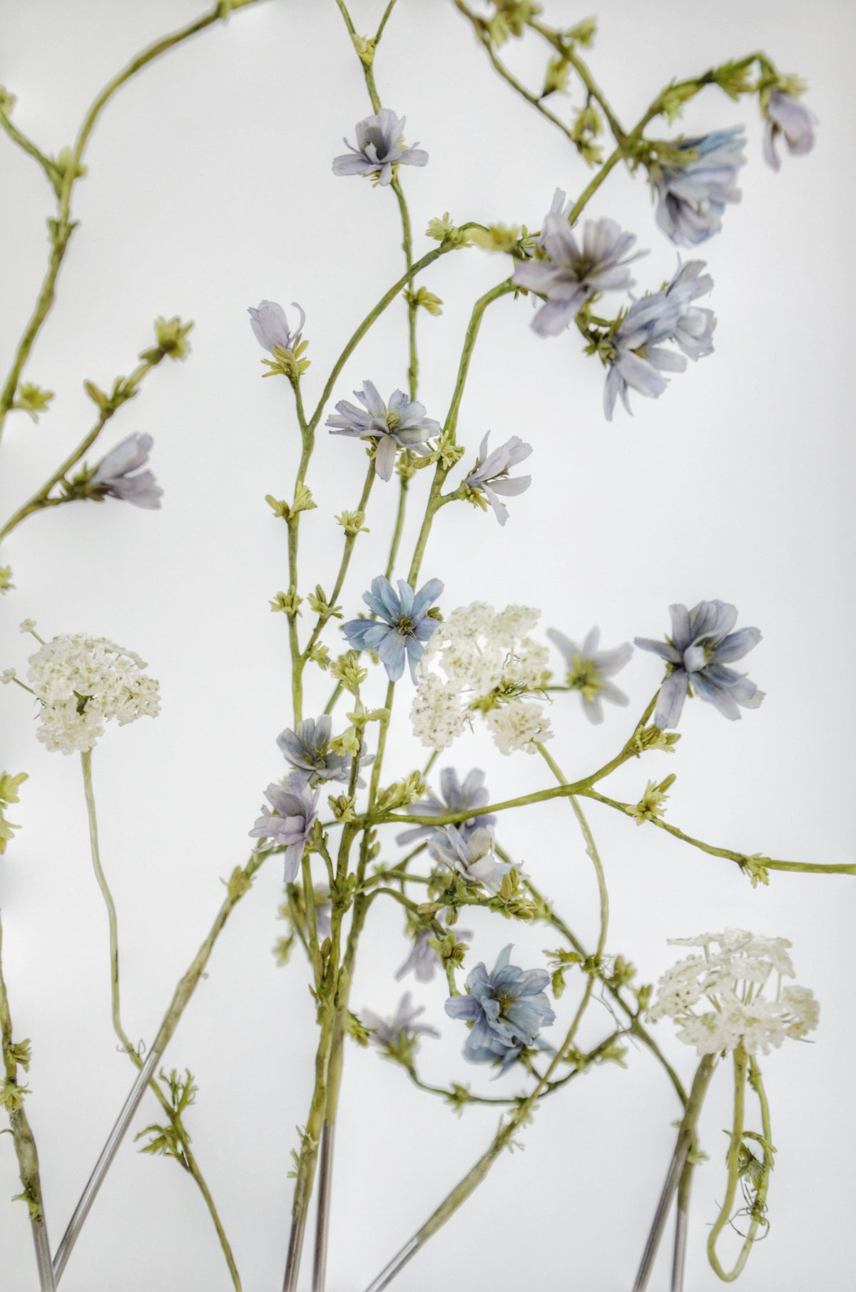 Wildflowers by Maggie Austin Fine Art Clay Sculpture