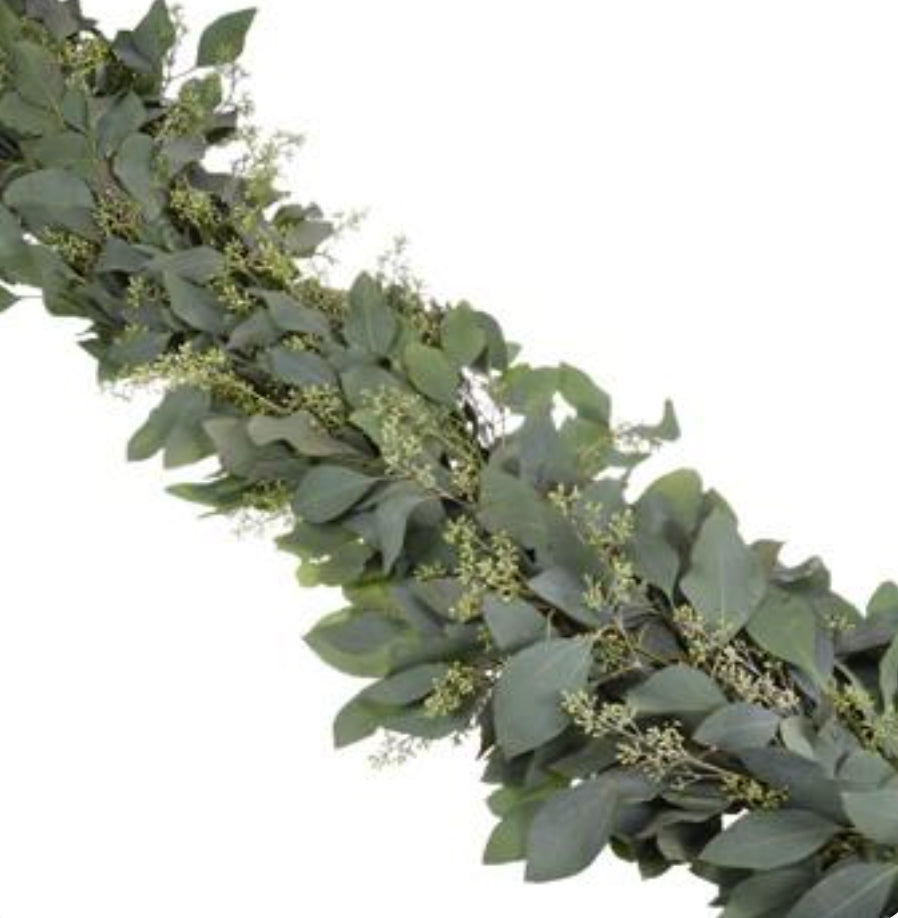 Stems In Bulk: Seeded Eucalyptus Garland