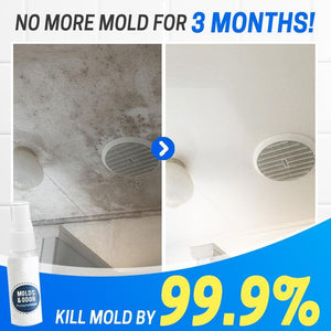 MoldOff Mildew Removal Spray