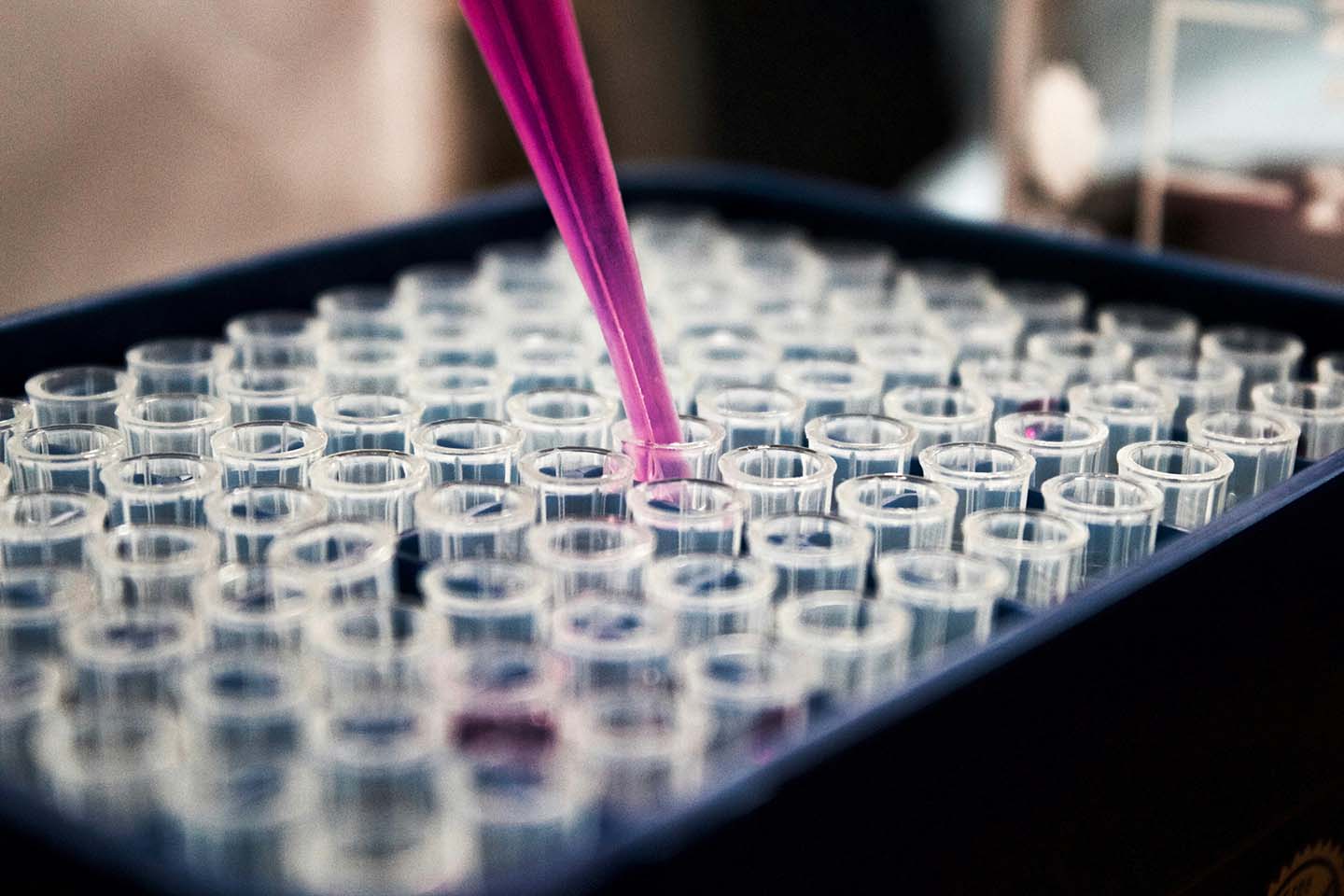 Test tubes in laboratory
