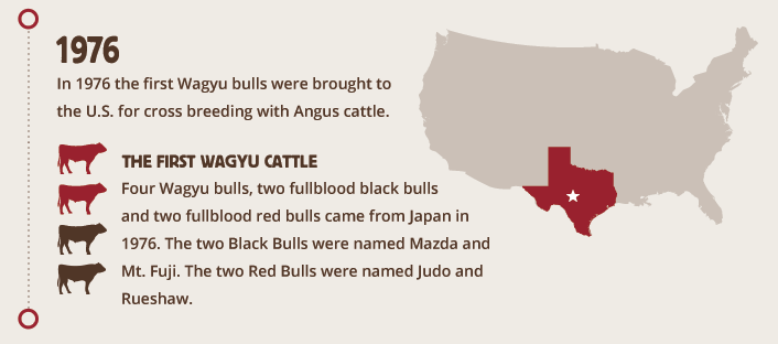 History of Wagyu Cattle in the US