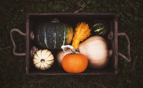 A bird's eye view of a brown basket filled with various squashes and pumpkins