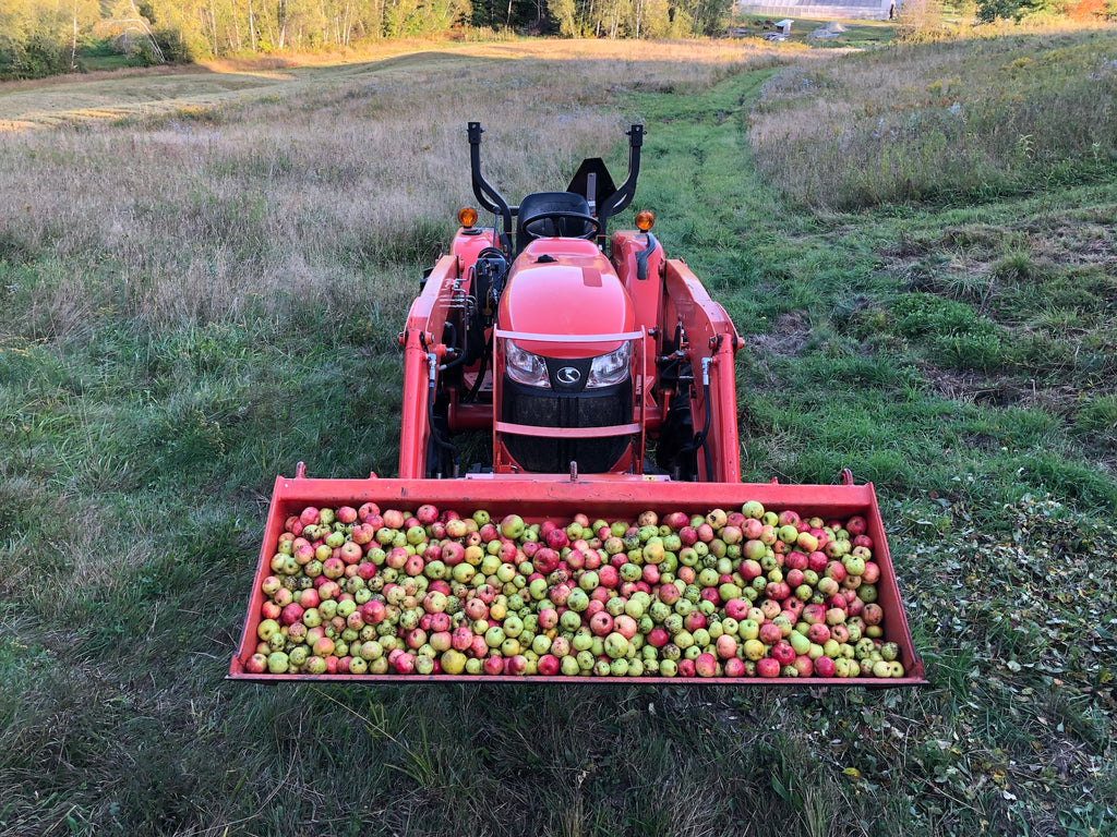 A red tractor is filled with freshly harvested wild apples. 