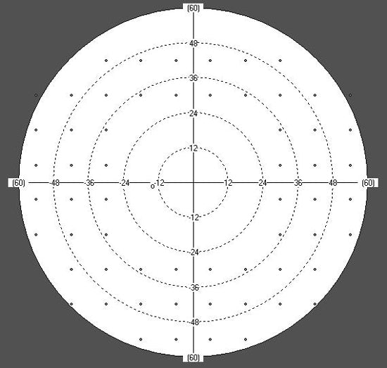 perimeter huvitz hvf-100