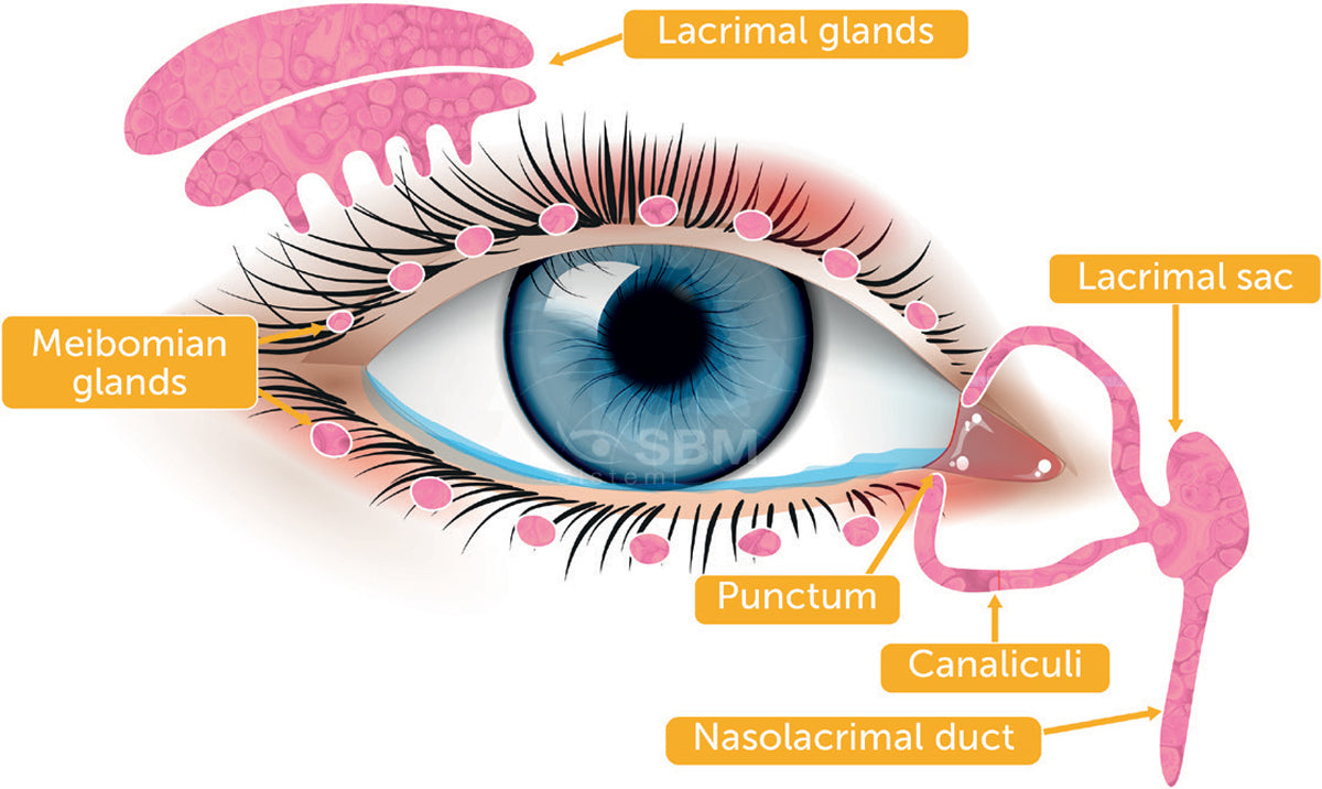 activamed eye dry treatment