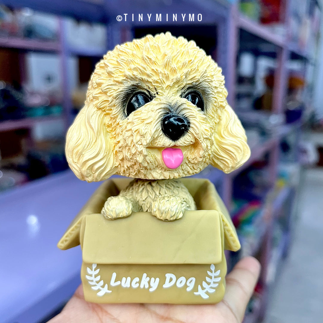 Cute Dog in a box Bobblehead Online In India