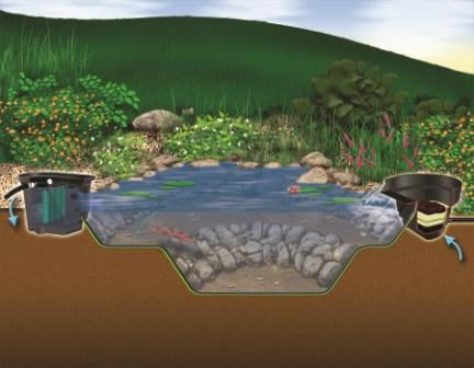 MicroPond® EcoSystem