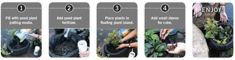 Floating Island Instructions