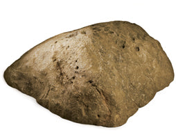 Rock Lid Shown In Desert