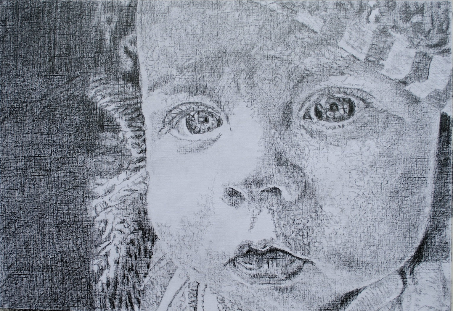 Daisy pencil on paper by Stella Tooth British portrait artist