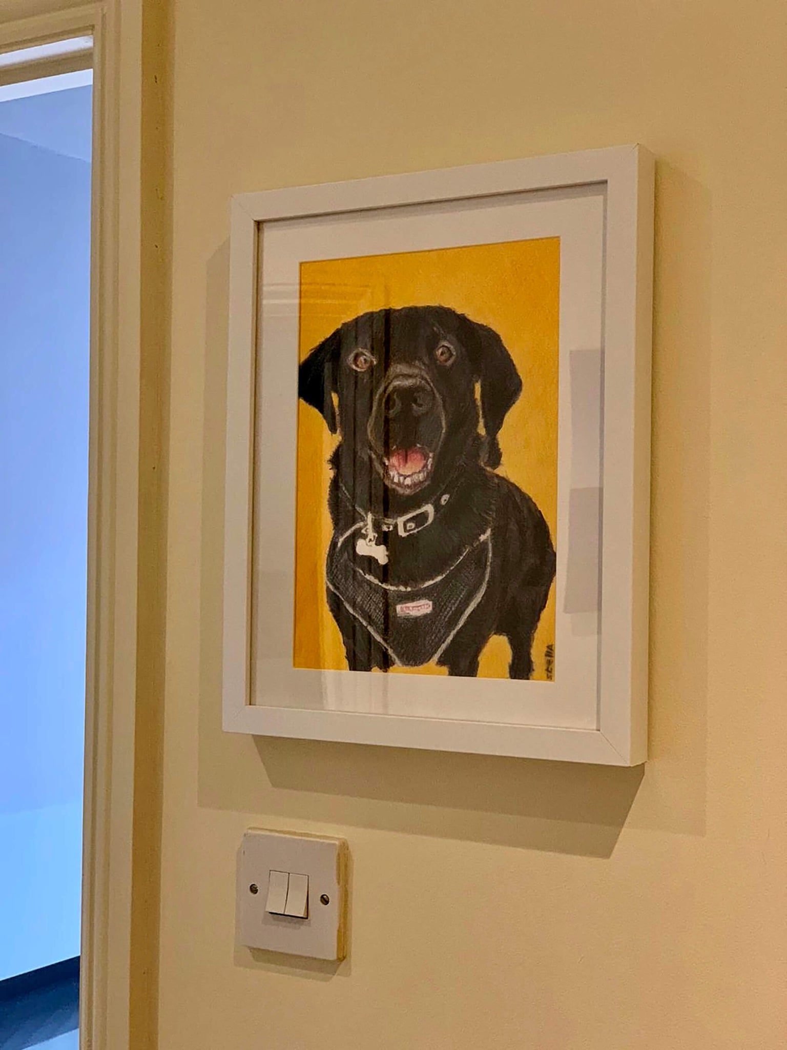 Daisy the labrador pencil on paper pet portrait artwork in situ in its new home by Stella Tooth.