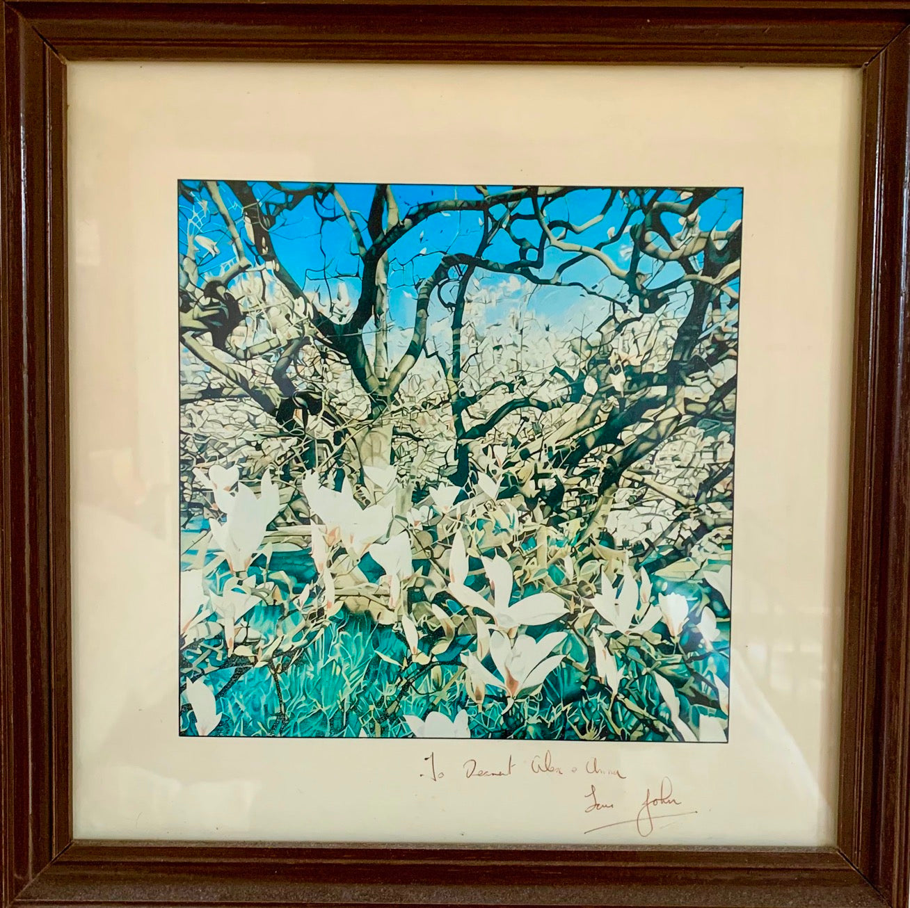 Magnolias print by artist John Rogers