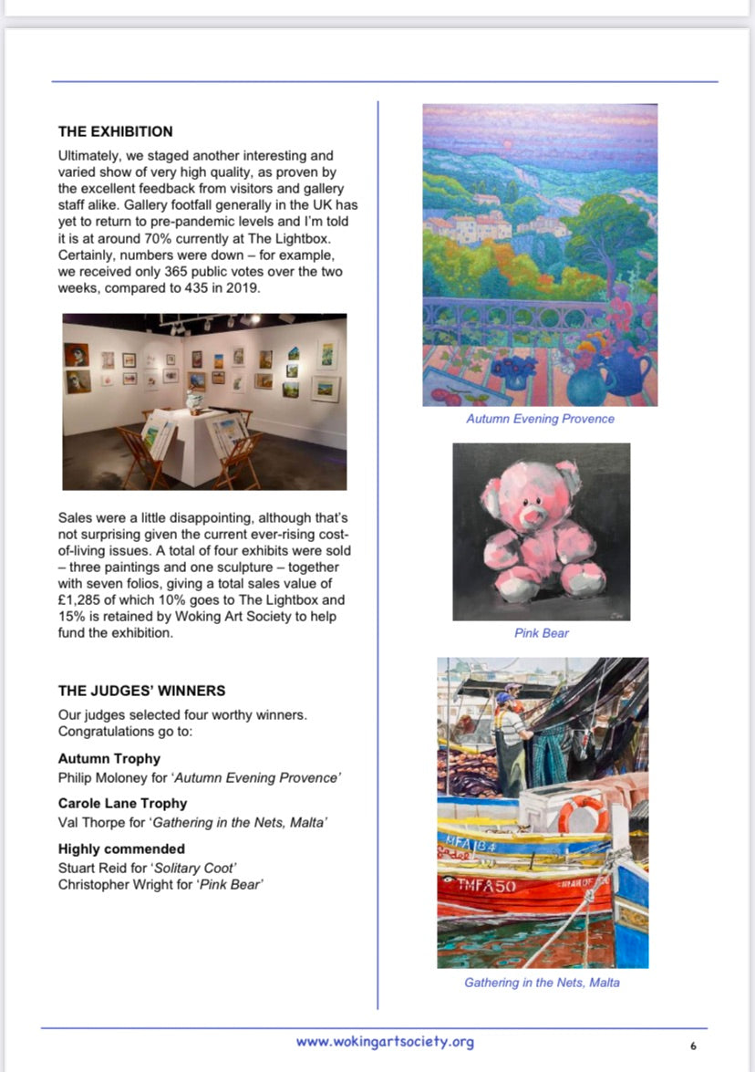 Broadbrush Woking Art Society Newsletter extract