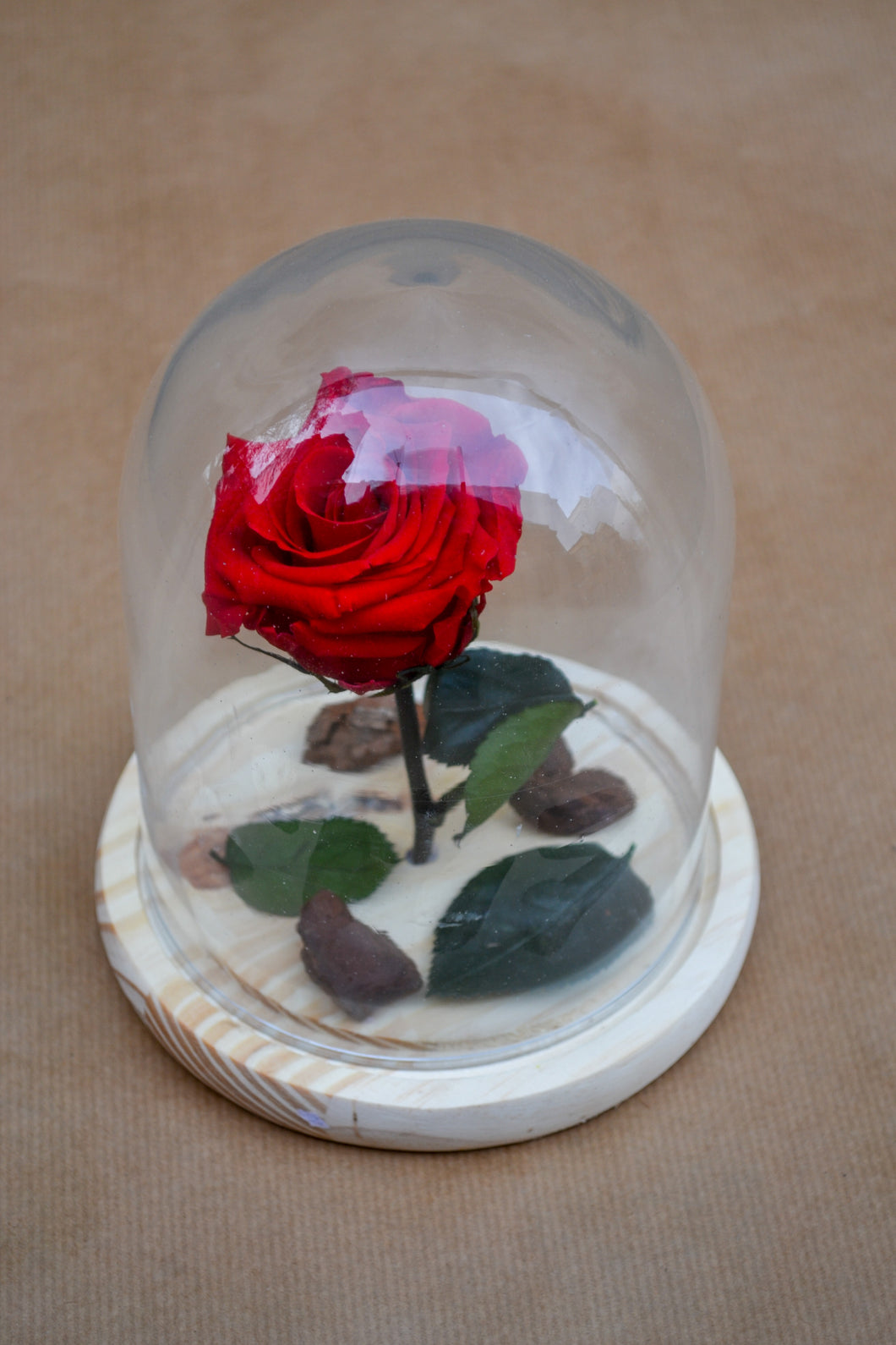 Rosa en cúpula de cristal - Tamaño Pequeño – Flors Margarita