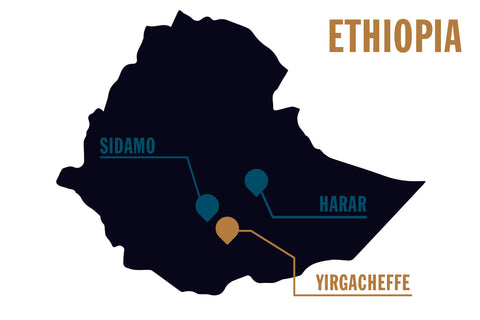 Ethiopian Coffee Growing Region Map