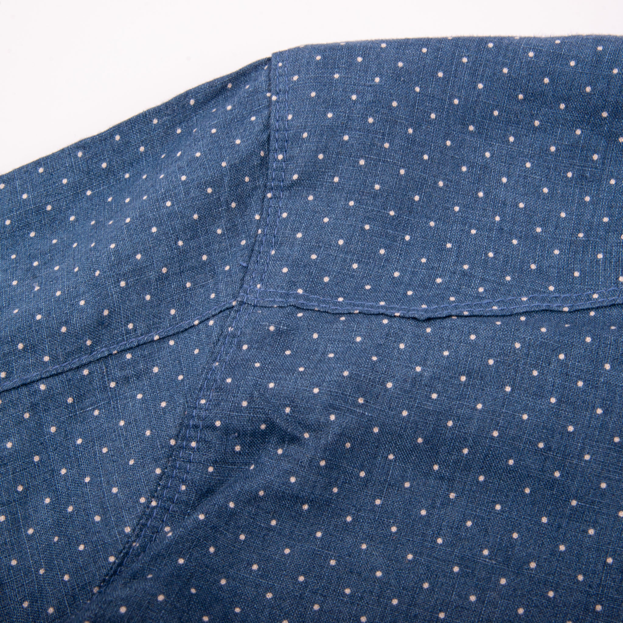 Calico <span> Blue Polkadot </span>