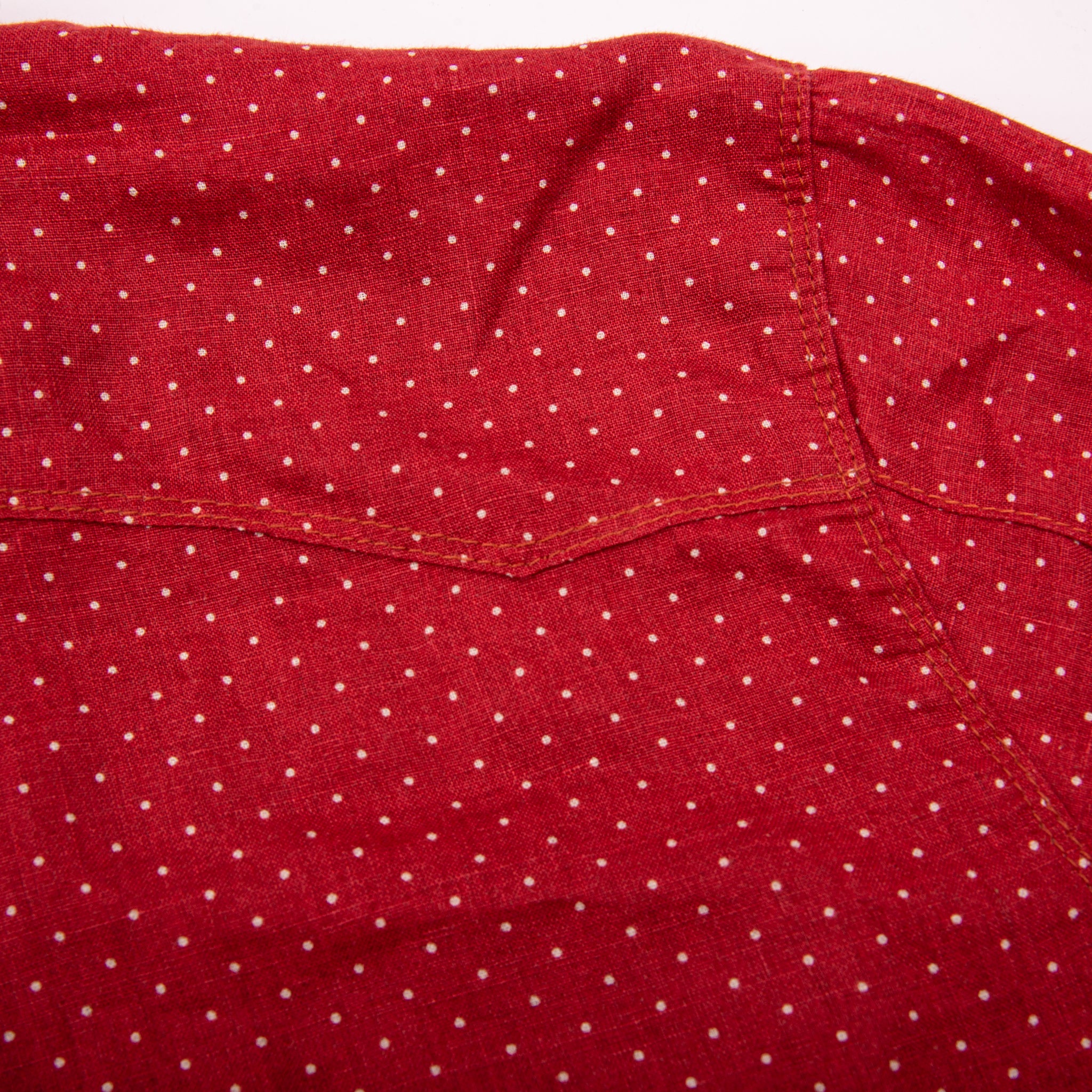 Calico <span> Red Polkadot </span>