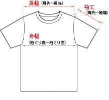 Tシャツ/カットソー