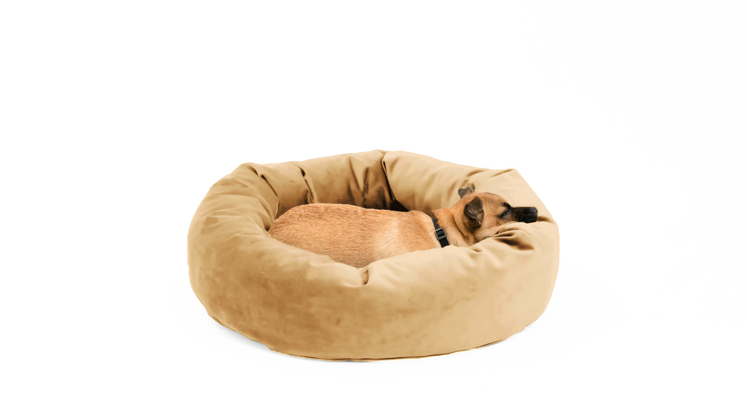 Floof Pet Bed – My Vegan World