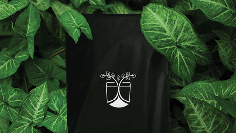 Compostable Custom Mailers