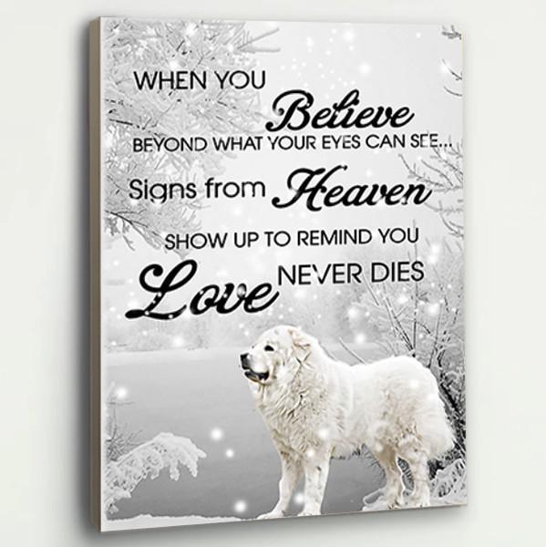 are great pyrenees snow dogs