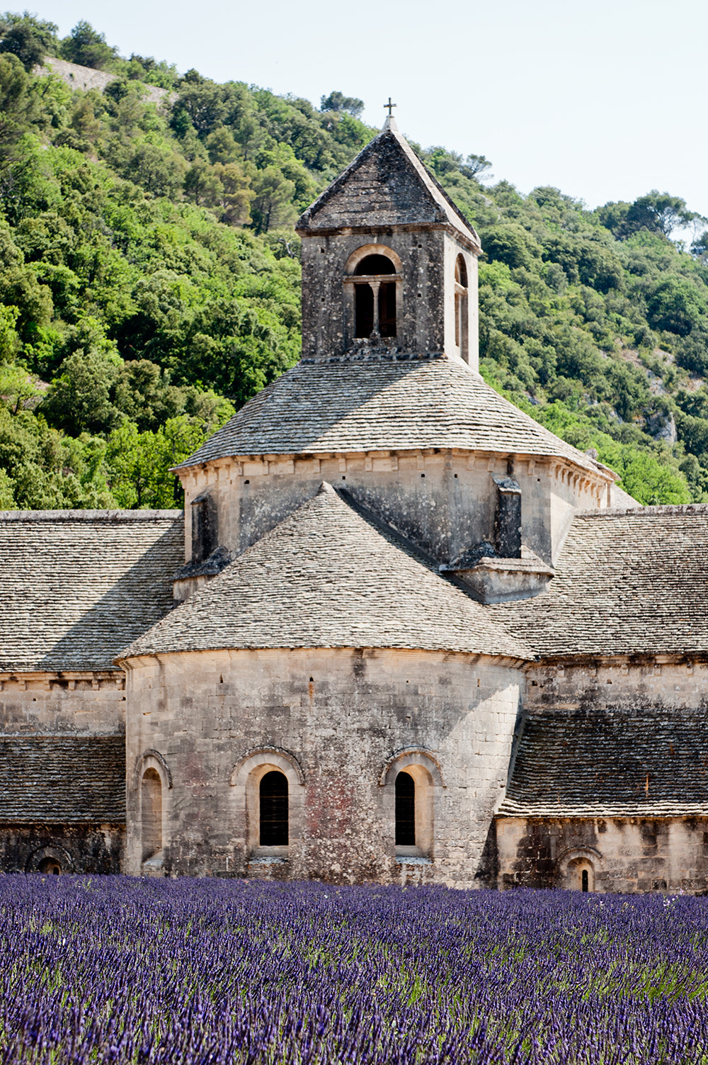 abbey de senanque, 