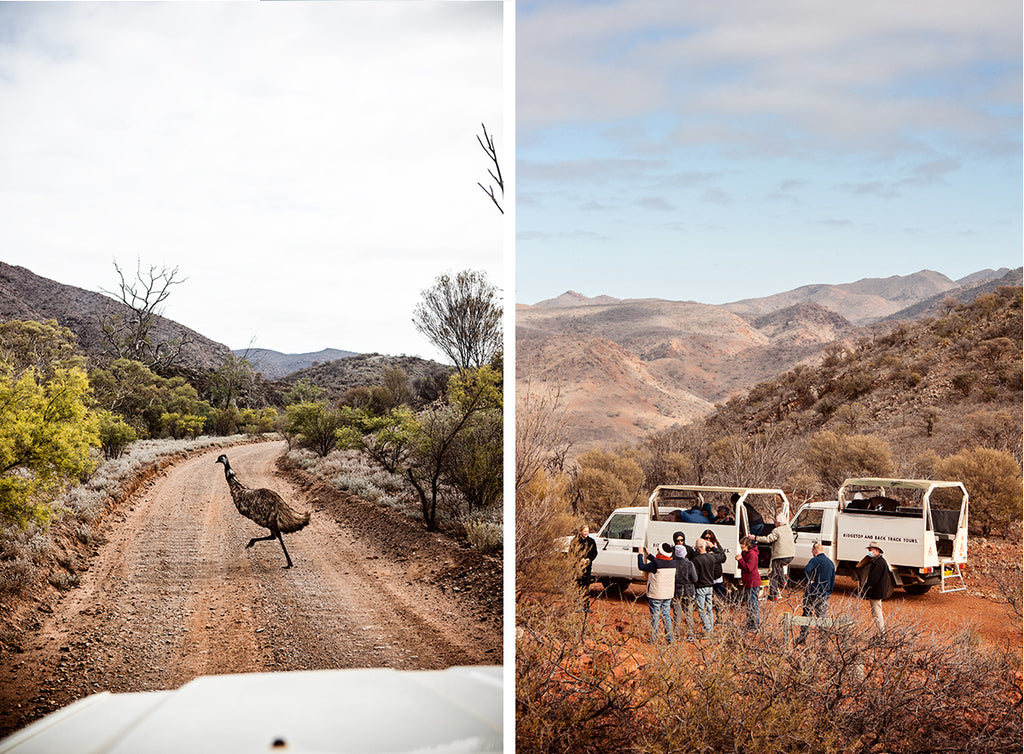 ridge top tour arkaroola wildlife sanctuary flinders ranges south australia