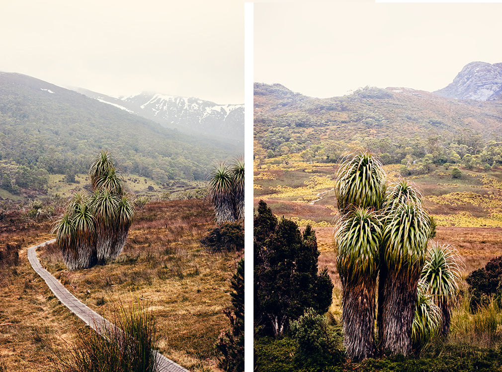 cradle mountain national park blog