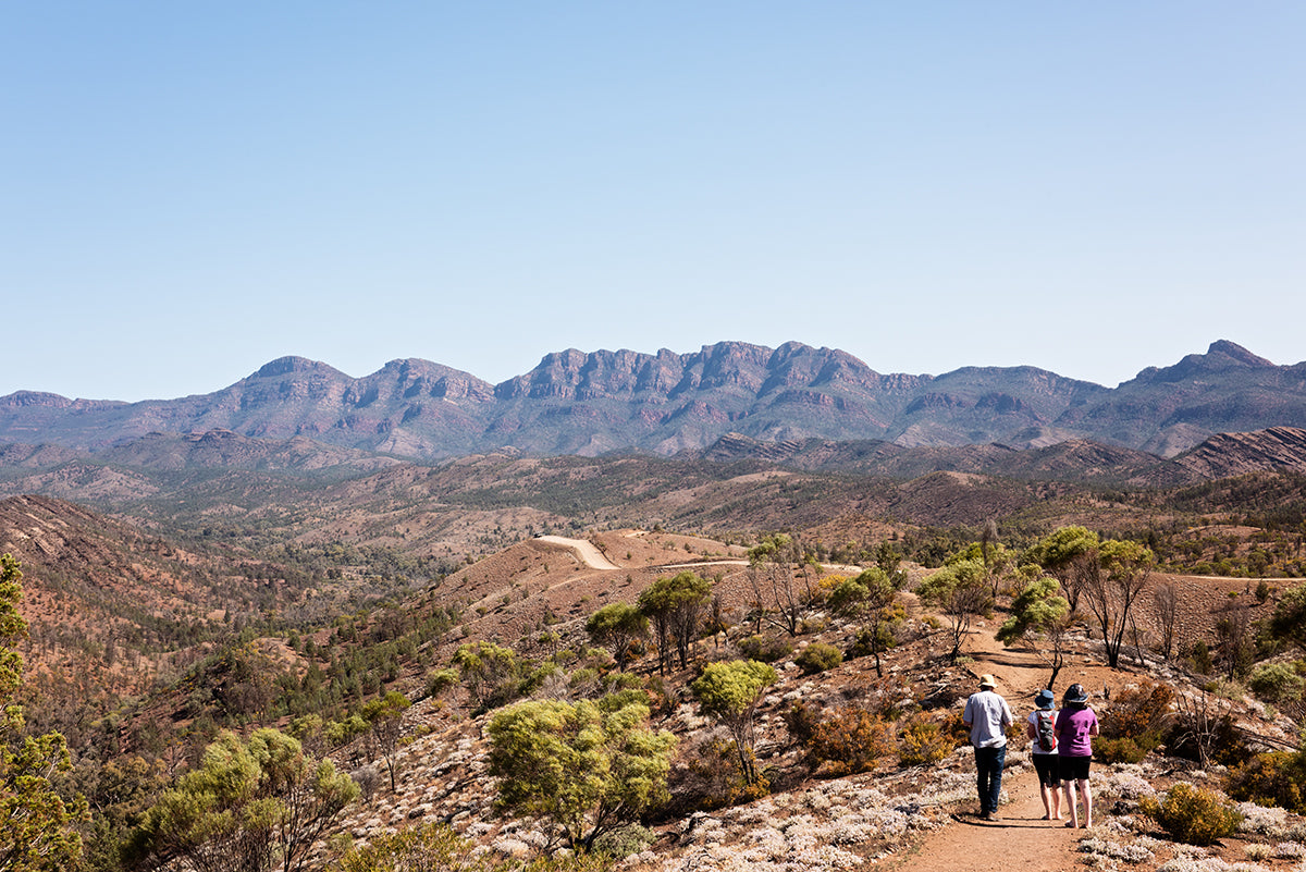 razorback ridge