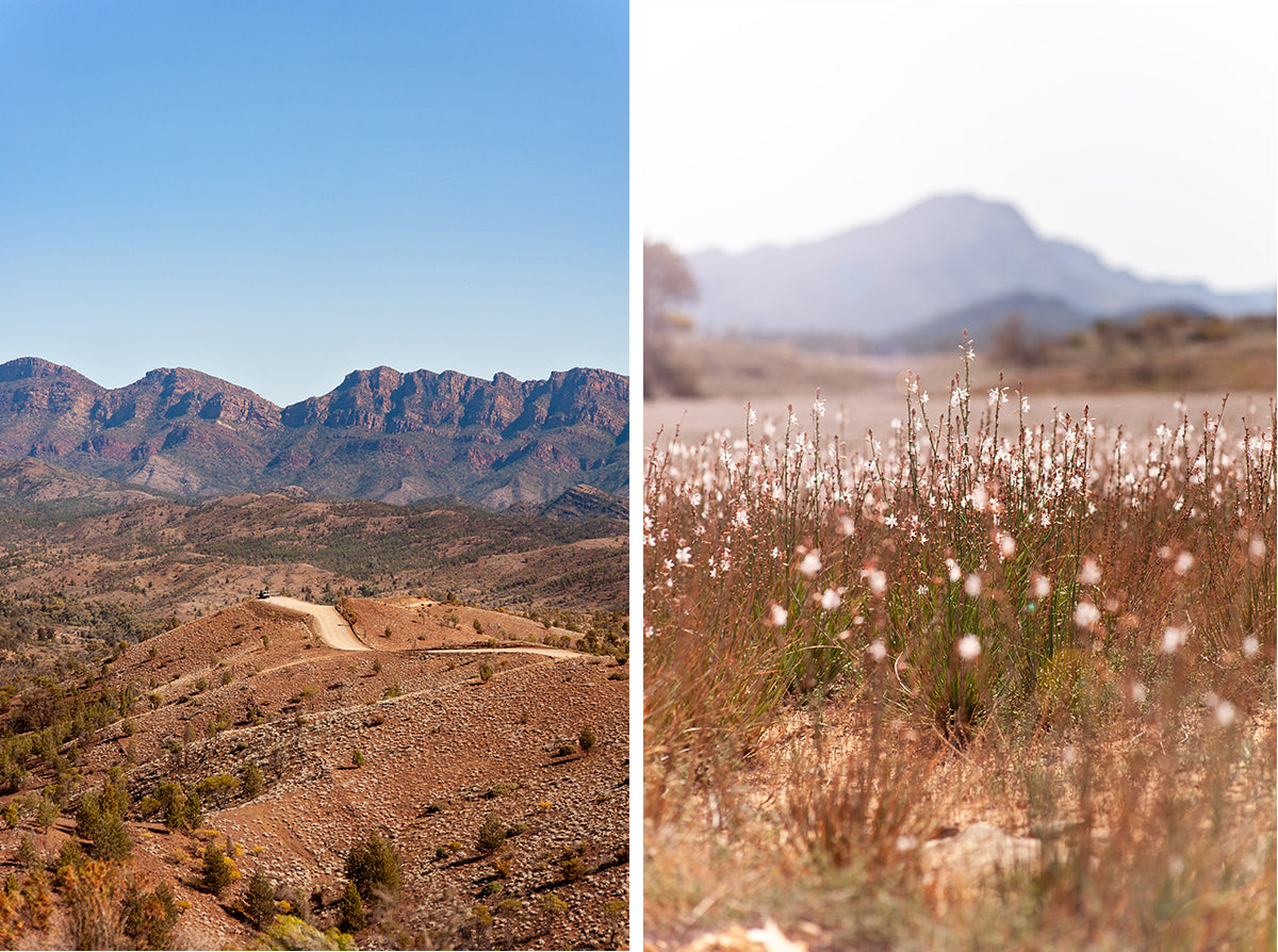 razorback ridge flinders ranges national park