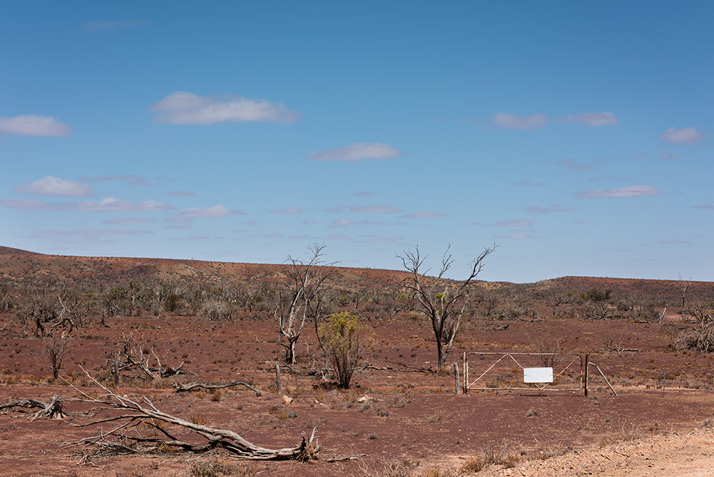 flinders ranges near arkaroola south australia