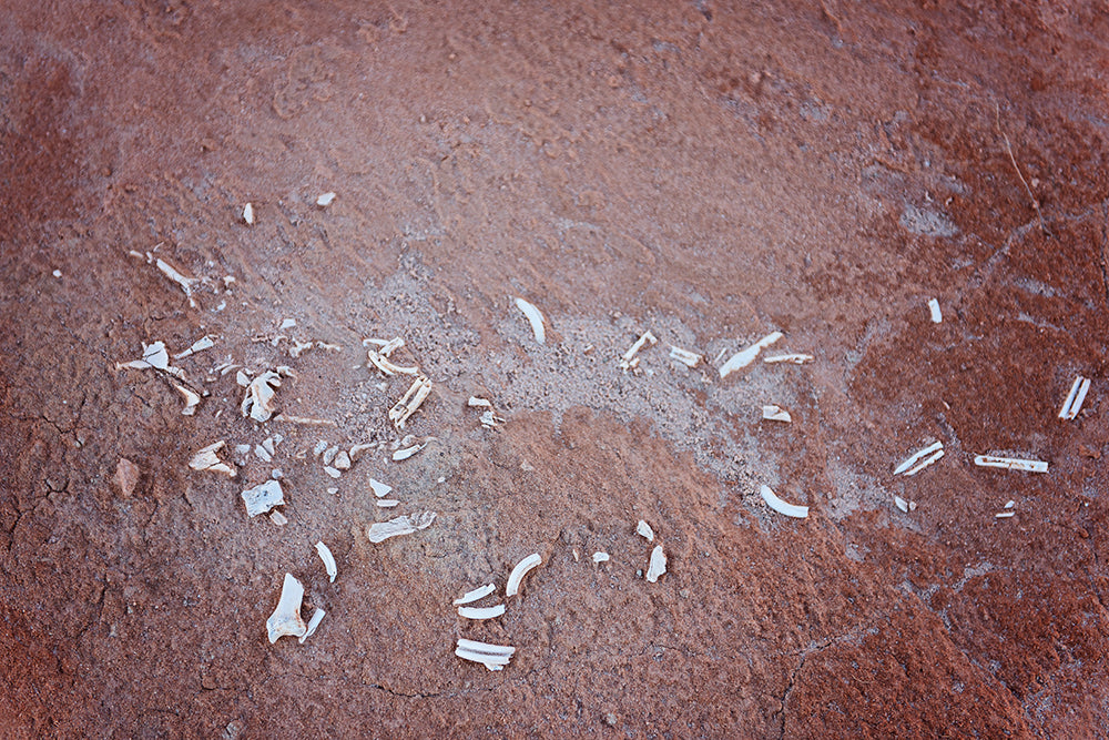 Mungo national park new south wales blog