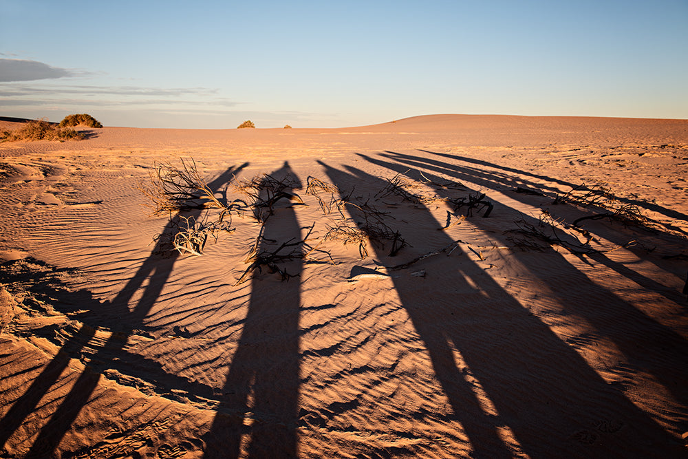 mungo national park indigenous history blog