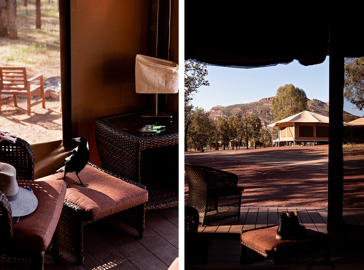 Flinders ranges safari tent wilpena pound south australia