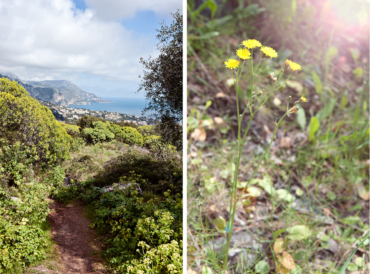 villefranche sur mer blog,