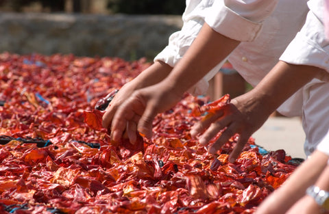 harissa paste