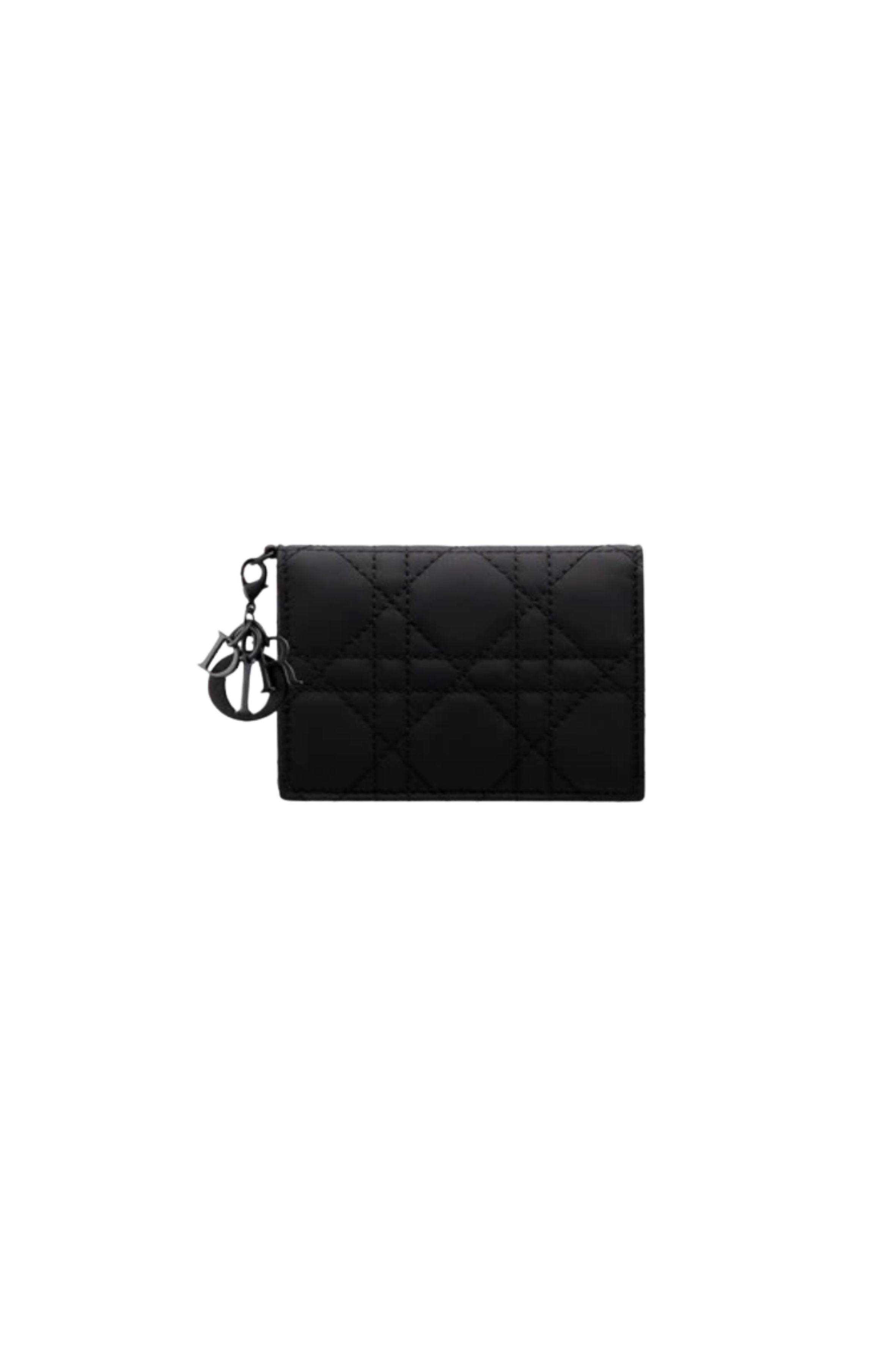 Khám phá hơn 85 dior card bag hay nhất  trieuson5