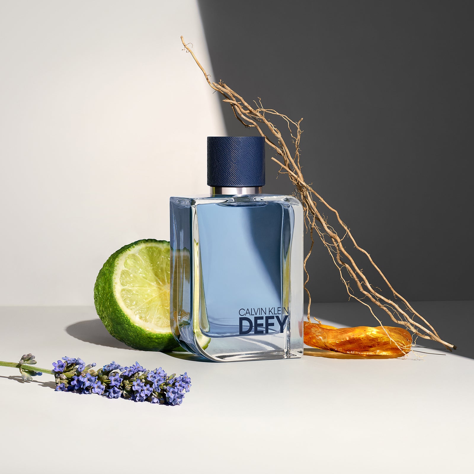 calvin klein defy eau de toilette