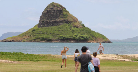 Beach tours hawaii private sightseeing