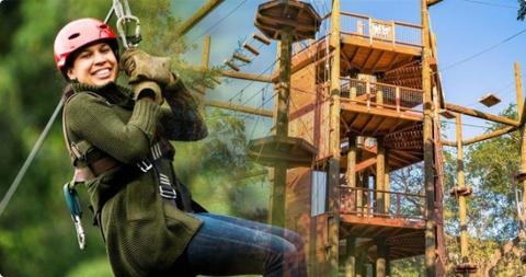 Zipline & Adventure Tower Package