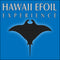 Hawaii Efoil Experience Promo: Flash Sale 35% Off