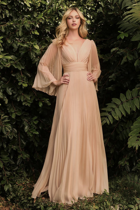 PLEATED CHIFFON LONG SLEEVE GOWN by Cinderella Divine - CD242 - Special Occasion