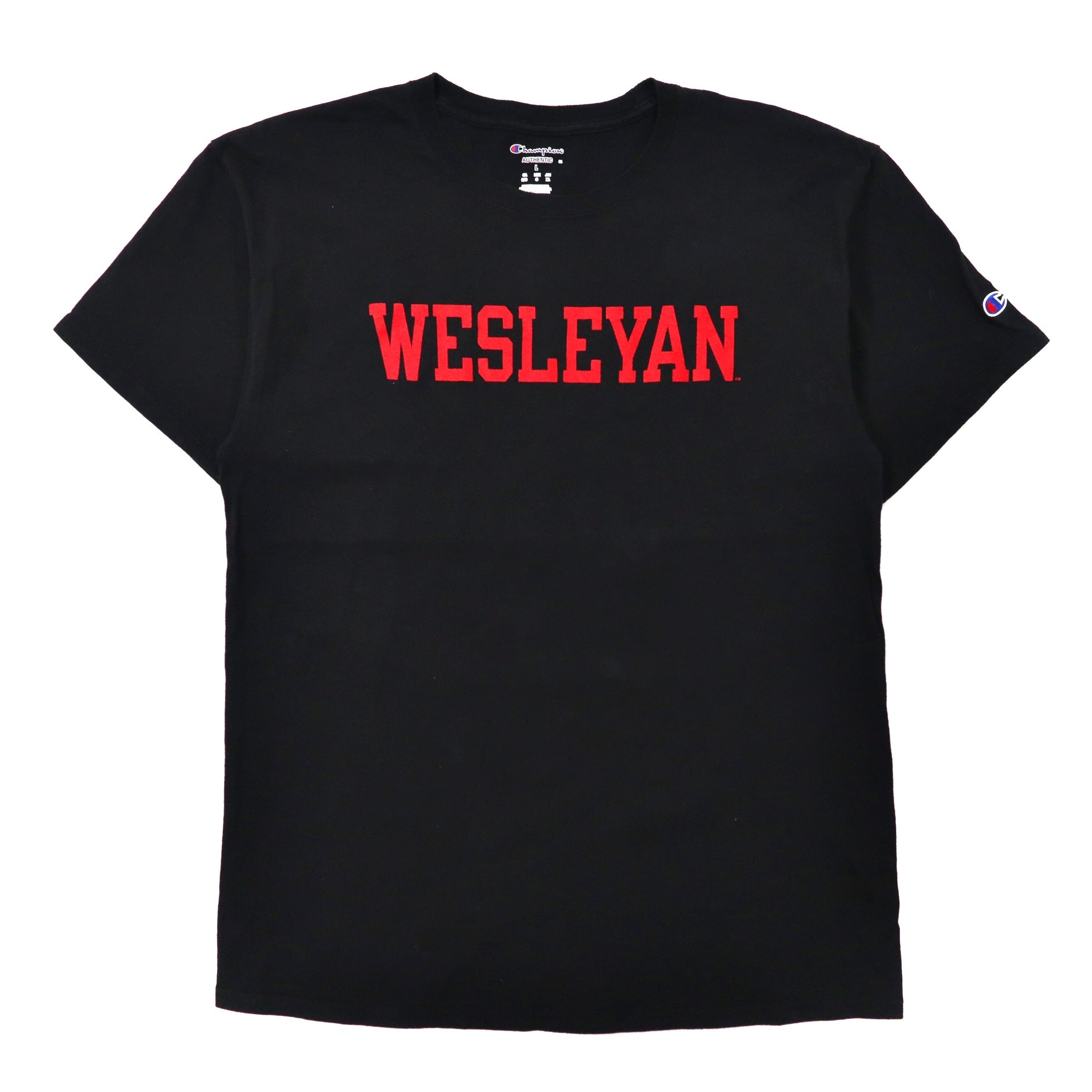 Champion ビッグサイズ カレッジプリントTシャツ XL ブラック コットン WESLEYAN