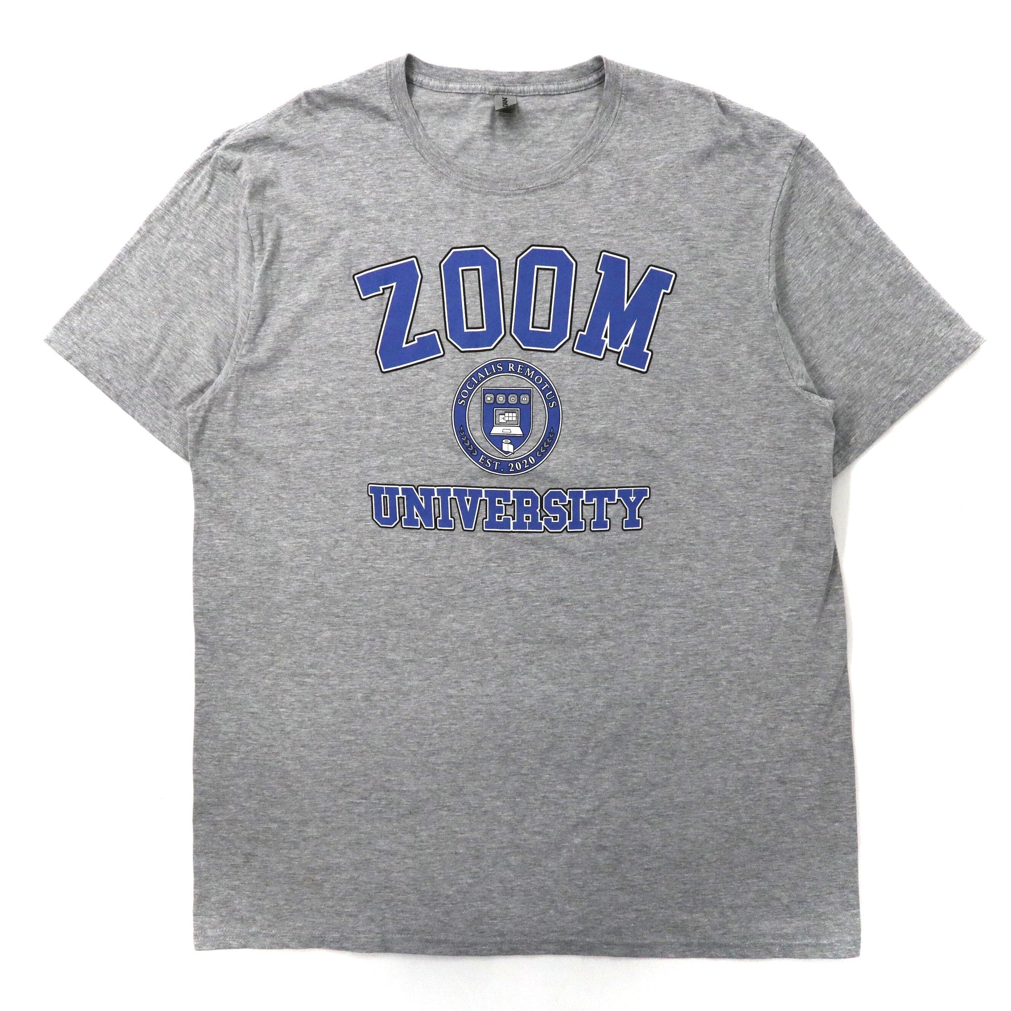 GILDAN ビッグサイズ カレッジTシャツ XL グレー コットン ZOOM UNIVERSITY ホンジュラス製