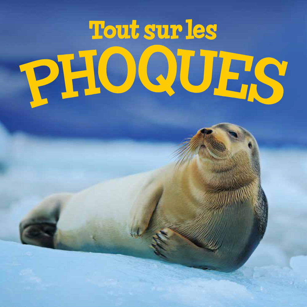 Tout sur les phoques / All About Seals (FR)